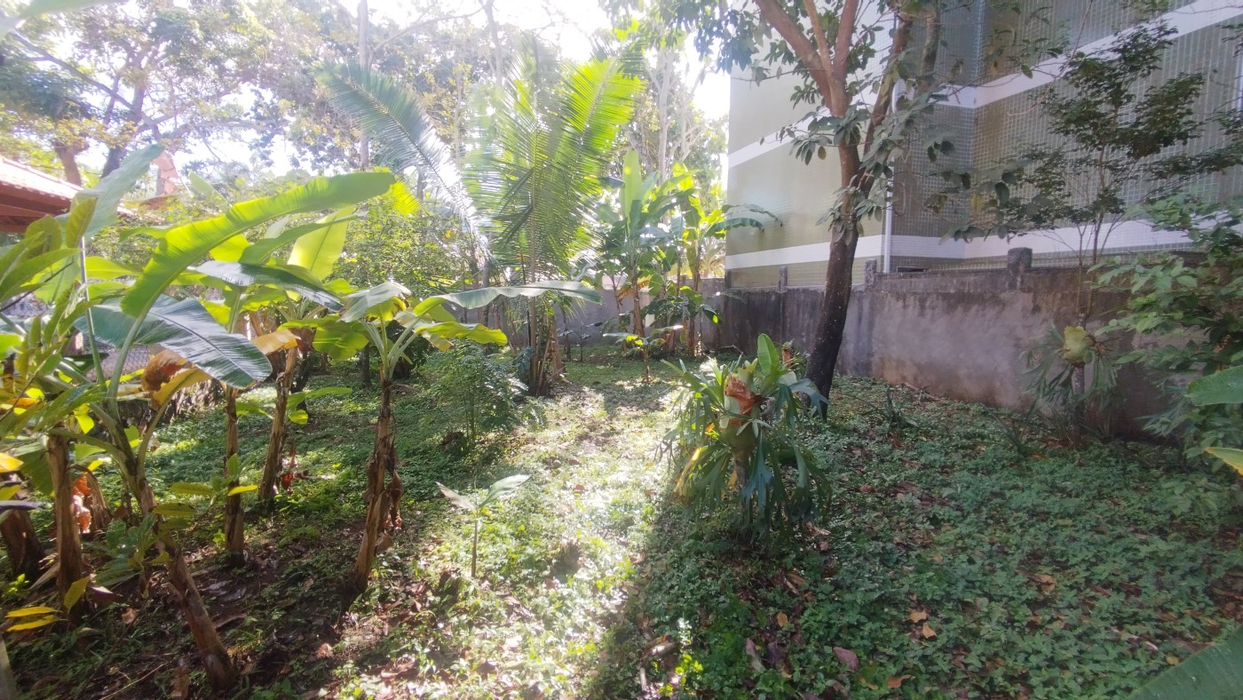 Terreno à venda, 480m² - Foto 2